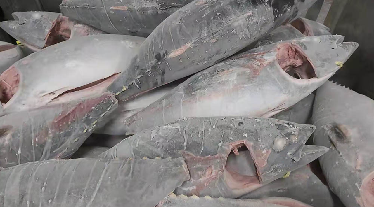 2. Vessel Cold Rooms