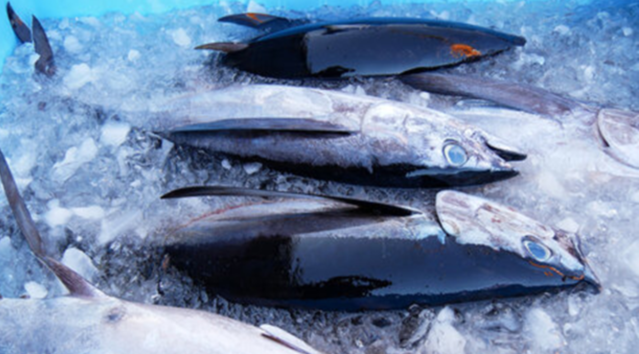 4. Temperature-Controlled Handling