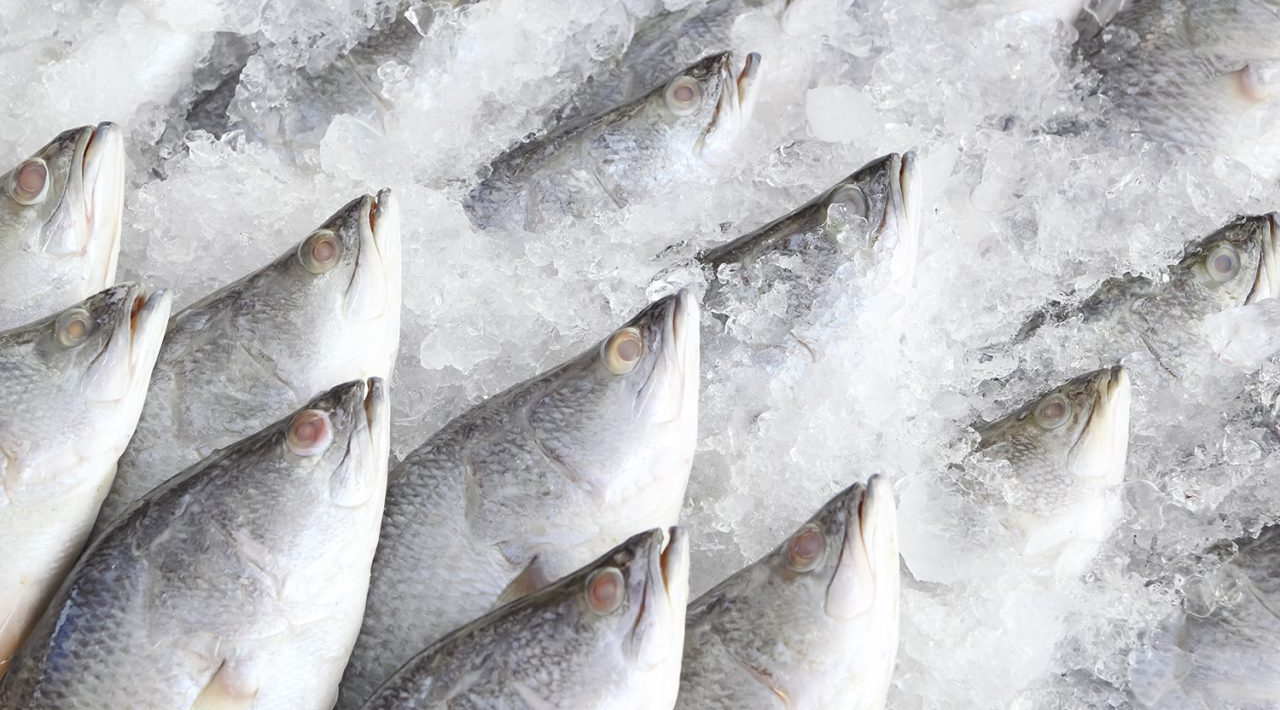 Customised Solutions for Diverse Markets